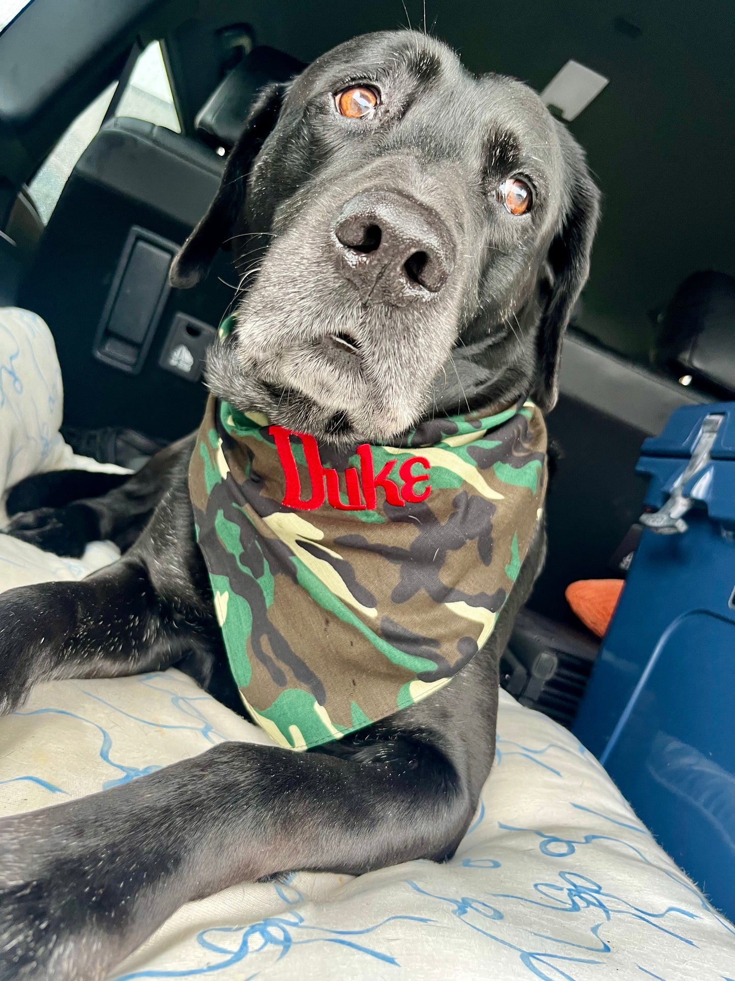 Custom Dog Bandana