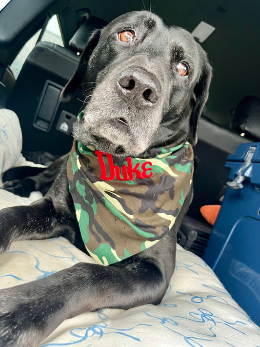 Custom Dog Bandana