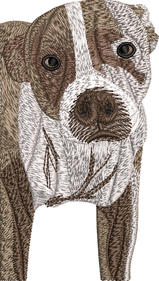 Custom Pet Embroidery - $75 one-time fee