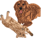 Custom Pet Embroidery - $75 one-time fee